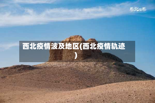 西北疫情波及地区(西北疫情轨迹)-第3张图片