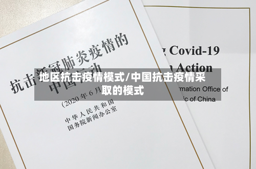 地区抗击疫情模式/中国抗击疫情采取的模式-第2张图片