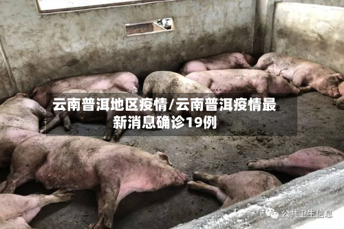 云南普洱地区疫情/云南普洱疫情最新消息确诊19例-第3张图片