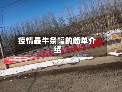 疫情最牛条幅的简单介绍